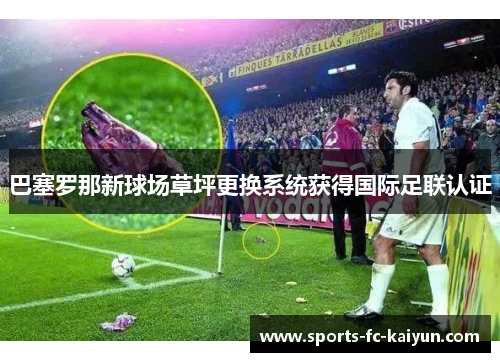 巴塞罗那新球场草坪更换系统获得国际足联认证