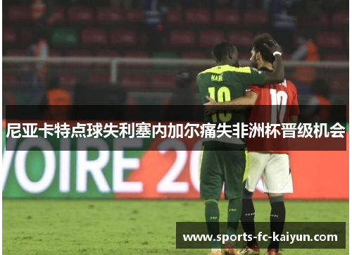 尼亚卡特点球失利塞内加尔痛失非洲杯晋级机会 尼亚卡特点球失利塞内加尔痛失非洲杯晋级机会